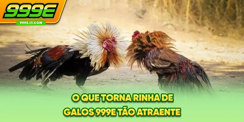O que torna rinha de galos 999E tão atraente