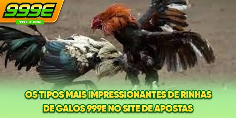 Os tipos mais impressionantes de rinhas de galos 999E no site de apostas