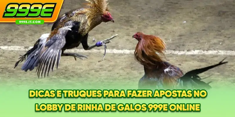 Dicas e truques para fazer apostas no lobby de rinha de galos 999E online