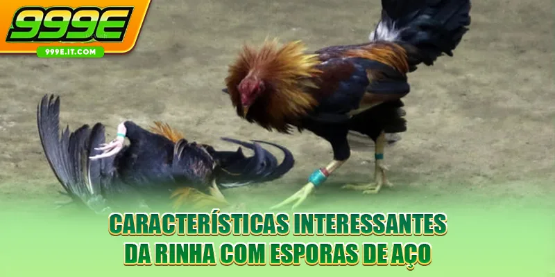 Características interessantes da rinha com esporas de aço