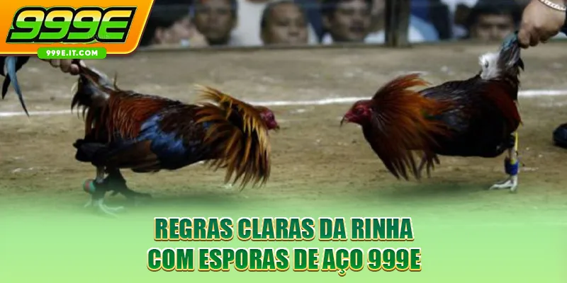 Regras claras da rinha com esporas de aço 999E